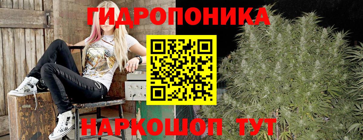 Бошки Шишки гибрид Борисоглебск